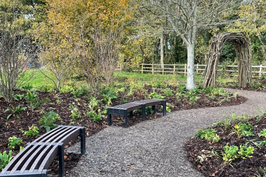 A curved path through a garden with young plants and small trees.
