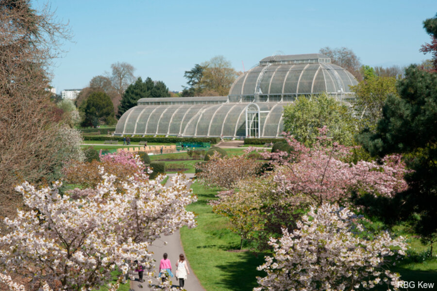 The Palm House at Kew Gardens, London Borough of Richmond upon Thames, England