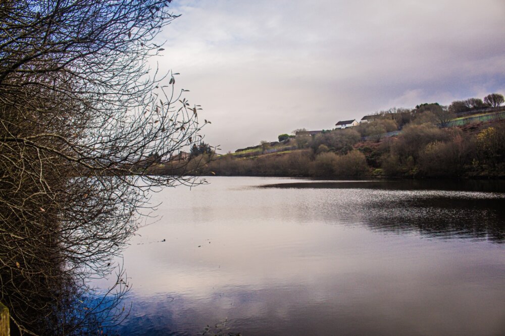 Views of a lake in the Creggan Country Park, Derry