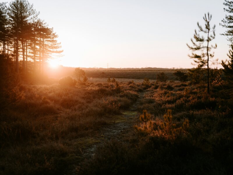 sunrise