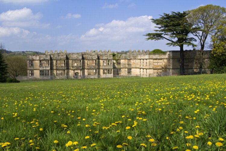 View across a wildflower meadow towards a long building built between 1603 and 1620, with alterations in both the 18th and 19th centuries, at Gibside, Newcastle upon Tyne