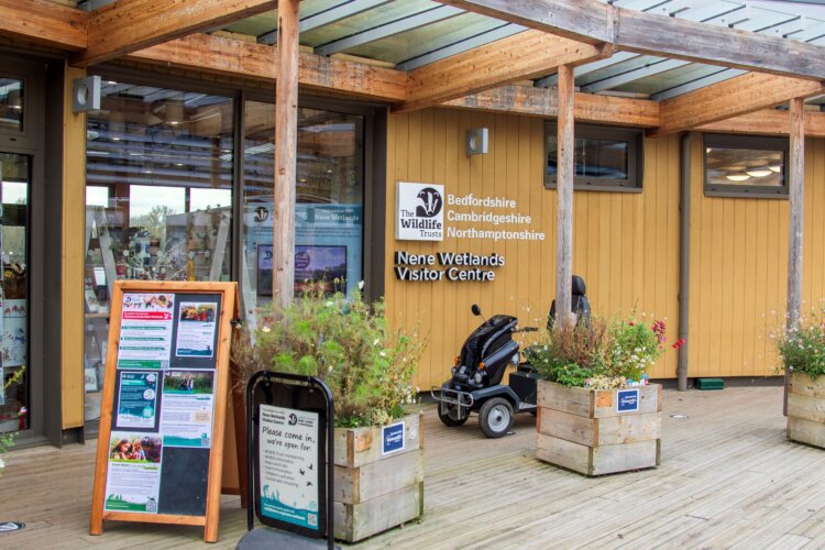 Wildlife Trust BCN visitor centre