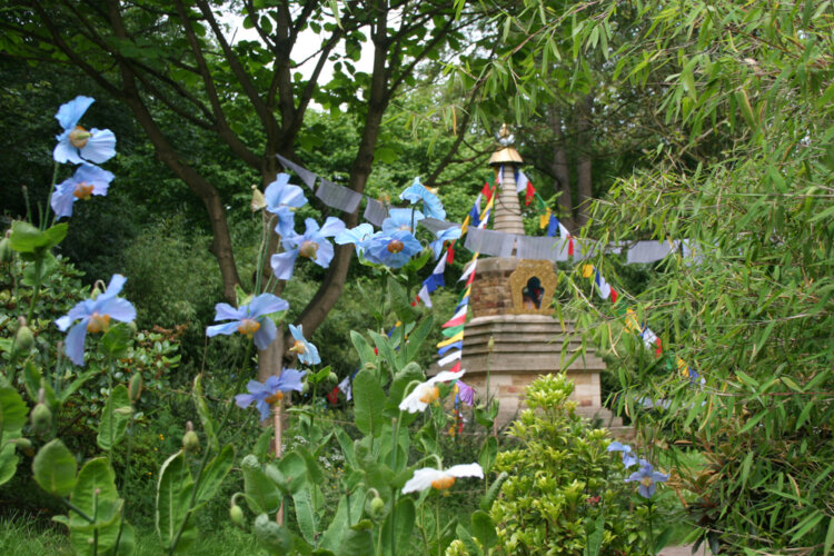 Harewood Himalayan Garden