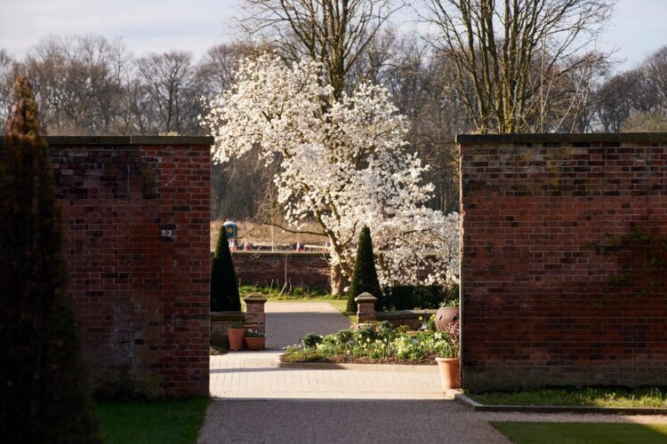 A glimpse of blossom at RHS Garden Bridgewater