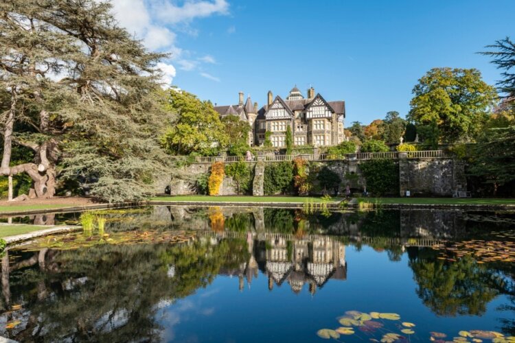 A large old house is in the foreground with a big lake and tree in front of it
