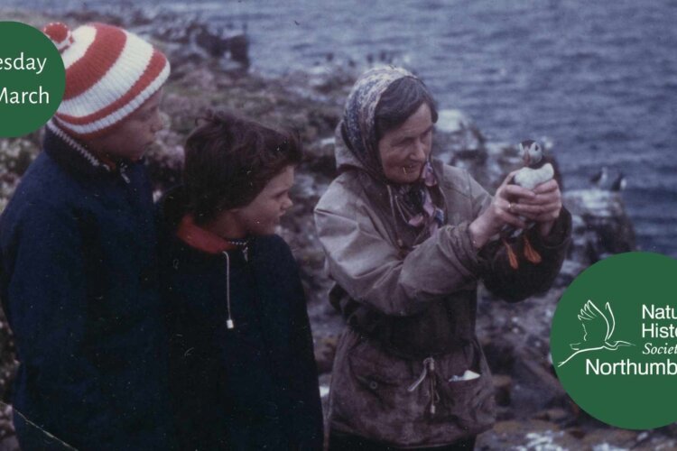 Woman holding a puffin standing next to two children.
