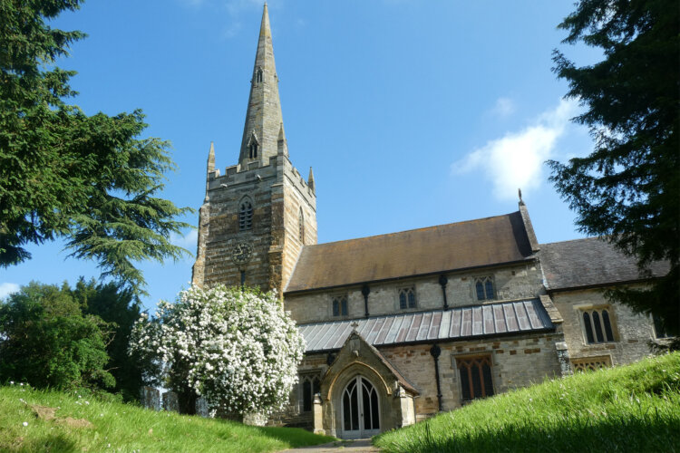 A path leading up to a church with spire and a white flowery tree next to it.