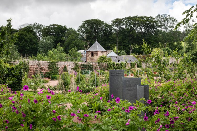 A formal garden with neatly trimmed box hedges, gravel paths, and clusters of herbs and shrubs, featuring a stone statue and a small outbuilding in the background.