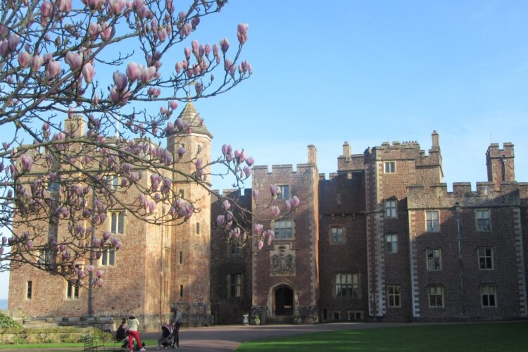 Spring morning at Dunster Castle, Somerset