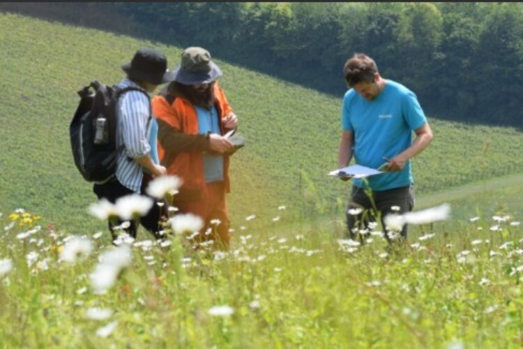 Photograph of three people in a wildflower meadow