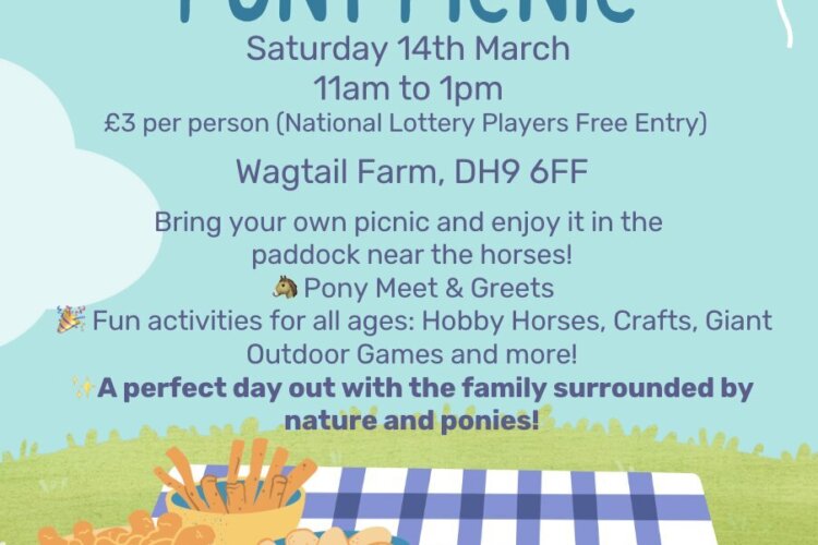 Pony Picnic Flyer