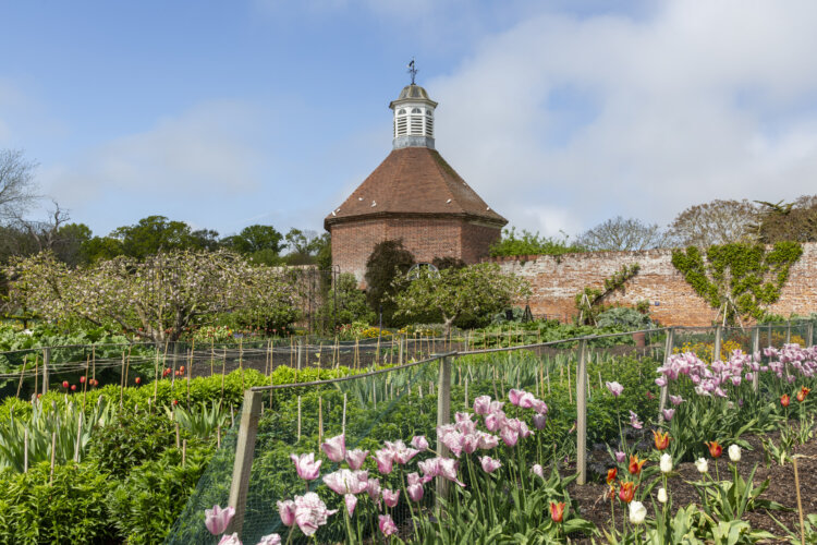 Daffodils cover the lawn in front of a large old house, with blue skies behind it