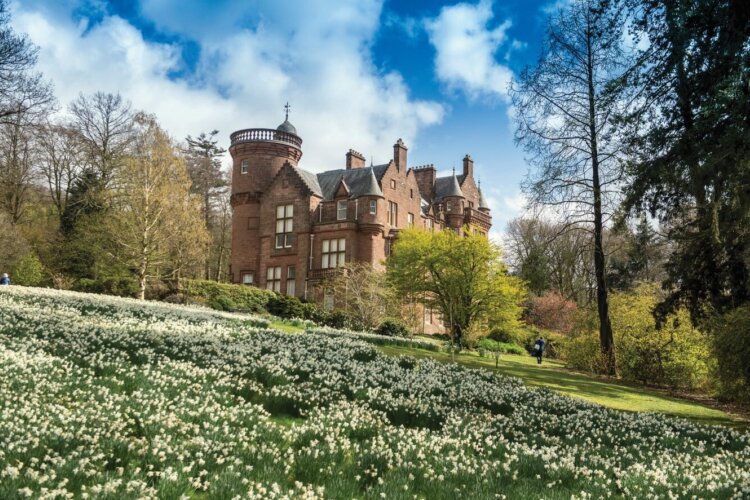 A historic brick mansion surrounded by trees with a field of white flowers in front.