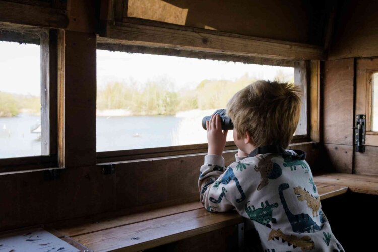 Child uses binoculars to look out of a bird hide at Gosforth Nature Reserve