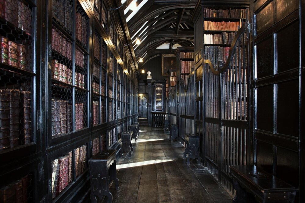 A dark wooden library. On the left hand side are shelves containing old books behind framed chicken-wire, while on the right hand side, wooden gates divide tall wooden book presses.
