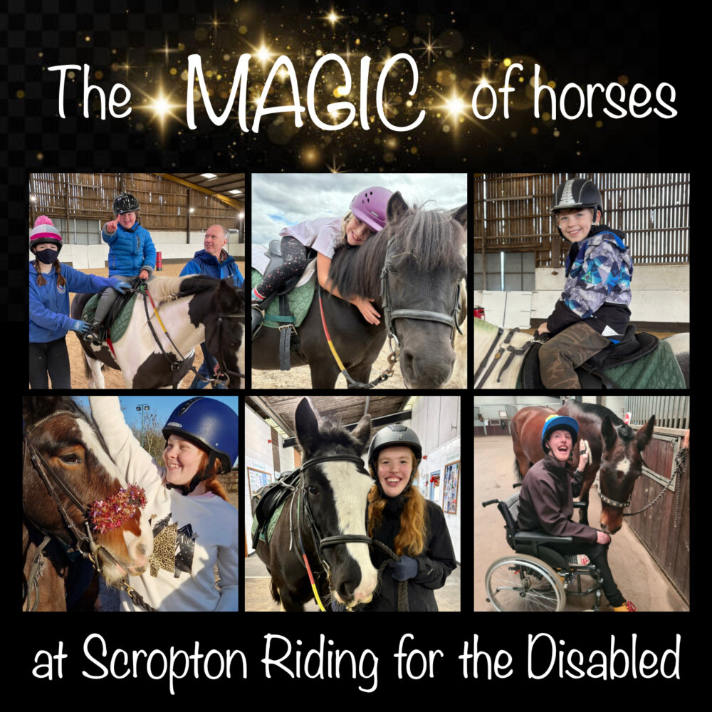 The image shows a collage of pictures of happy people alongside horses