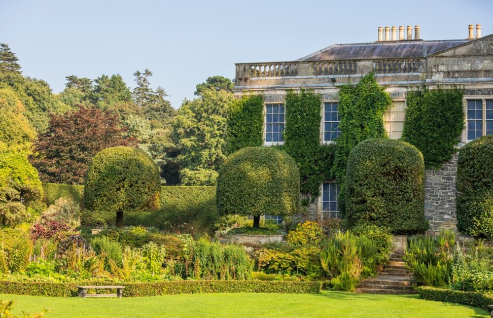 Clipped bay trees opposite the north front of an old houe